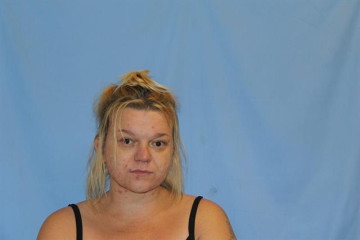 Mugshot of CRYSTAL LEE SHORES