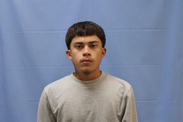 Mugshot of LUIS CASTANEDA