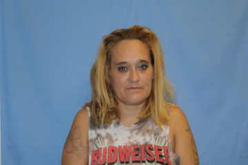 Mugshot of SHANNON RENEE DIAZ