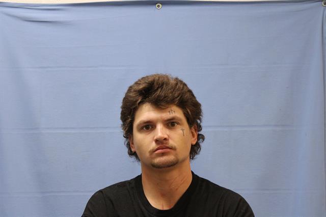 Mugshot of WYATT LEON WALTON