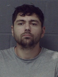 Mugshot of Dorin Romandas