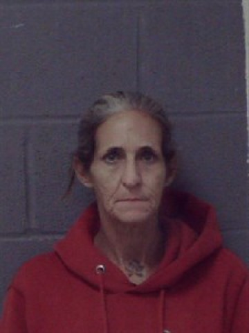 Mugshot of Tonya L Mcdonald