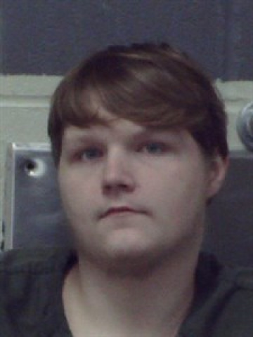 Mugshot of Chandler D Williams