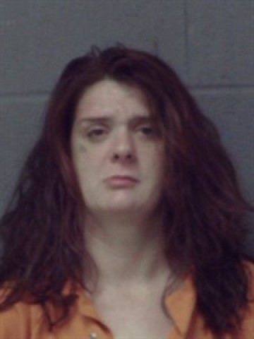 Mugshot of Ashley Bryant