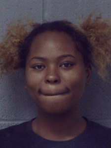Mugshot of Terria K Jenkins