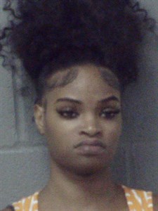 Mugshot of Shalenna Shantea Leverson