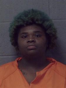 Mugshot of Ericka Marie Nichole Woodfork