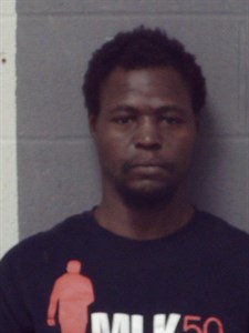 Mugshot of Jamie L Young