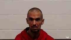 Mugshot of CHEYENNE LOVRIEN