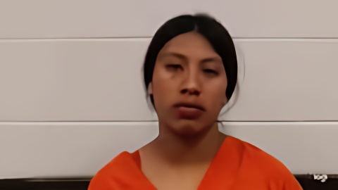 Mugshot of JOHANNA MENDEZ