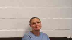 Mugshot of ROBIN SANDERS