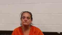 Mugshot of JOYCE SULLINS