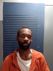 Mugshot of Terrell L Ross