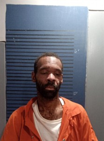 Mugshot of Terrell L Ross