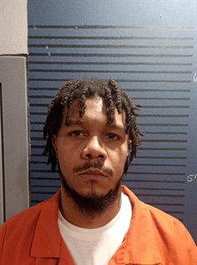 Mugshot of Larenya Lamaz Marshall