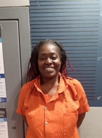 Mugshot of Ashley Nicole Jenkins