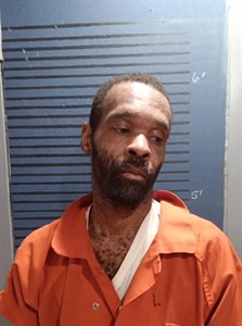Mugshot of Terrell L Ross