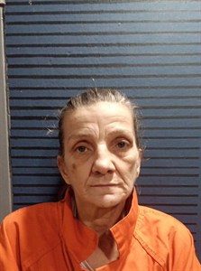 Mugshot of Darlene Haynes