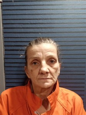 Mugshot of Darlene Haynes
