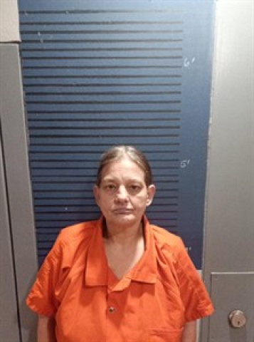 Mugshot of Michelle Edwards