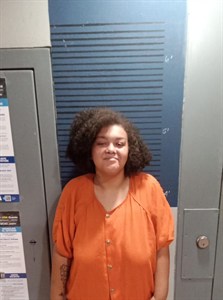 Mugshot of Destiny Faith Porter