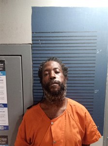 Mugshot of Derrick Warner