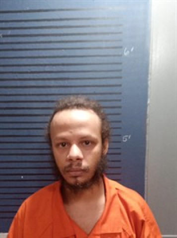 Mugshot of Ricky L Sanders