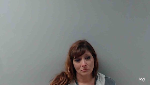 Mugshot of LORI HAMILTON