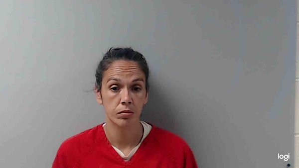Mugshot of DONNA AUSTIN