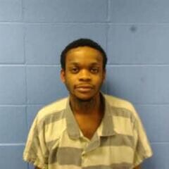 Mugshot of FABIAN BURKS