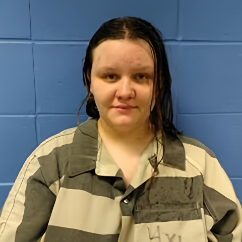 Mugshot of FELICIA WILLIS