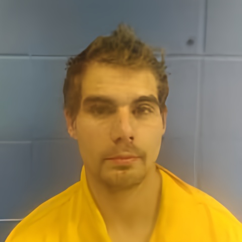 Mugshot of DAVID MAULDIN