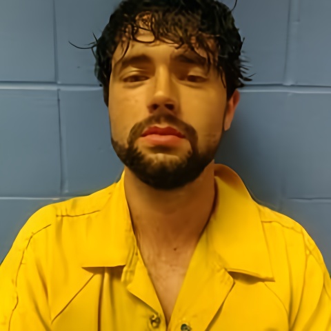 Mugshot of NICHOLAS HERRING