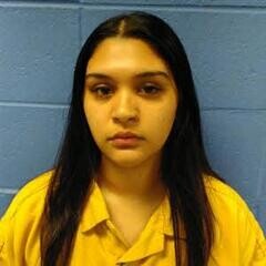 Mugshot of TERESA ALVAREZ