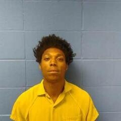 Mugshot of LAURENZ WILLIAMS