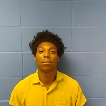 Mugshot of LAURENZ WILLIAMS