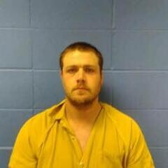 Mugshot of BRYAN BROWN