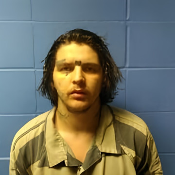 Mugshot of SHAWN CHADWICK