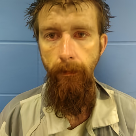 Mugshot of JAY HENRY