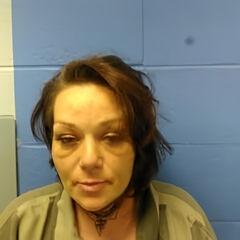 Mugshot of BRANDY HALTON