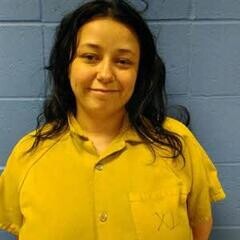 Mugshot of DARIA SKINNER