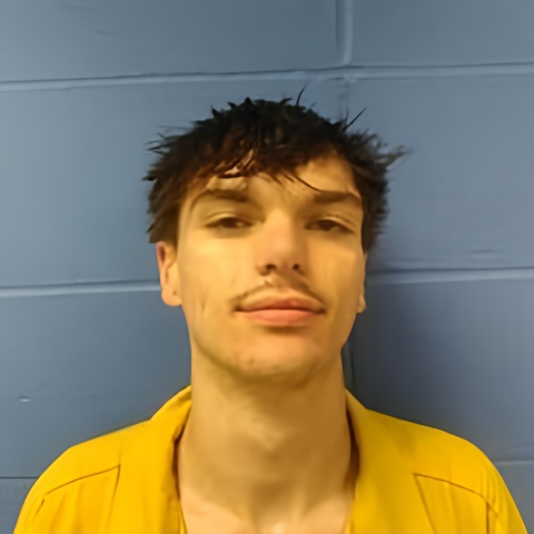 Mugshot of GAVIN PATTON