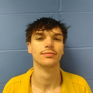 Mugshot of GAVIN PATTON