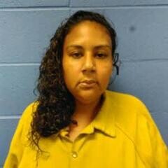Mugshot of JANNA PALOMO