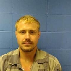 Mugshot of NIKKOLAS WOLF