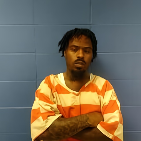 Mugshot of LAQONTA FUDGE