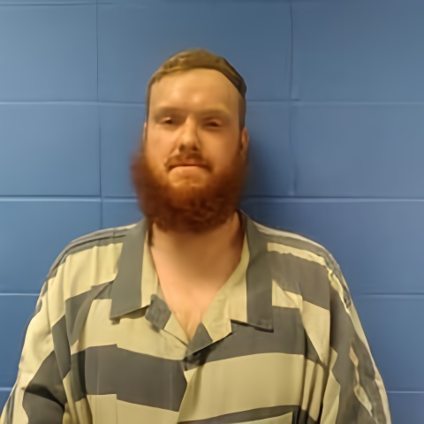 Mugshot of NICKOLAS LEMLEY