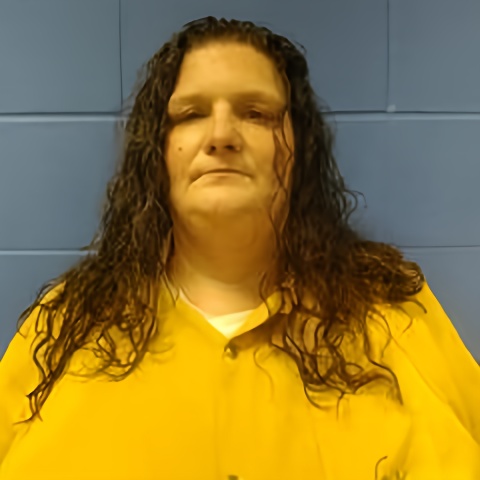 Mugshot of LINDSAY WALLER