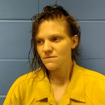 Mugshot of ALLIE SMITH