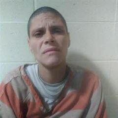 Mugshot of KELSEY COOK